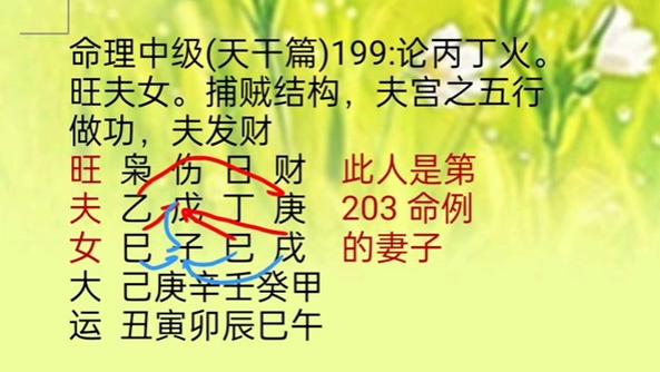 八字中劫财伤官是什么意思