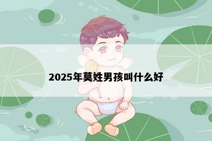 2025年莫姓男孩叫什么好