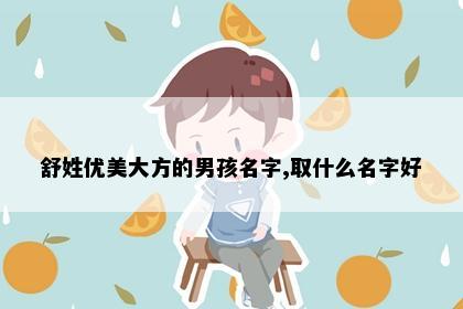 舒姓优美大方的男孩名字,取什么名字好