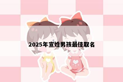 2025年宣姓男孩最佳取名