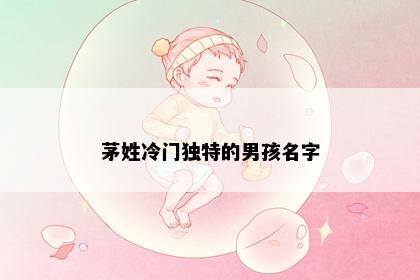 茅姓冷门独特的男孩名字