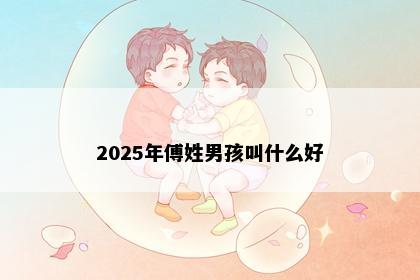 2025年傅姓男孩叫什么好