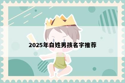 2025年白姓男孩名字推荐