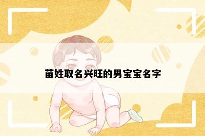 苗姓取名兴旺的男宝宝名字