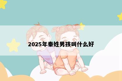 2025年秦姓男孩叫什么好