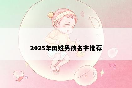 2025年田姓男孩名字推荐