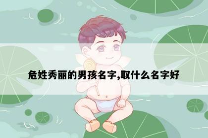 危姓秀丽的男孩名字,取什么名字好