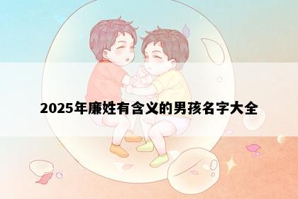 2025年廉姓有含义的男孩名字大全