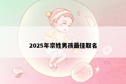 2025年宗姓男孩最佳取名