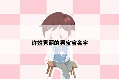 许姓秀丽的男宝宝名字