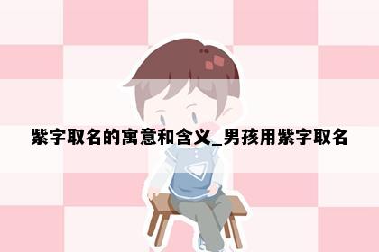 紫字取名的寓意和含义_男孩用紫字取名