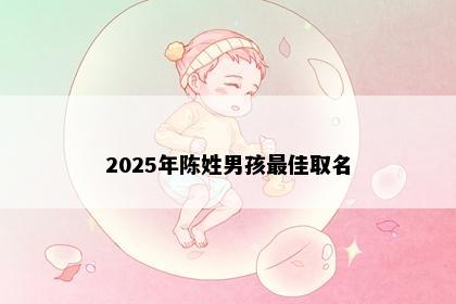 2025年陈姓男孩最佳取名