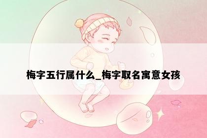 梅字五行属什么_梅字取名寓意女孩