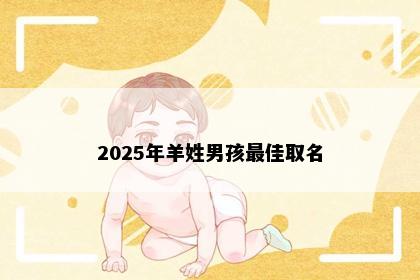 2025年羊姓男孩最佳取名