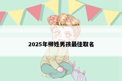 2025年柳姓男孩最佳取名