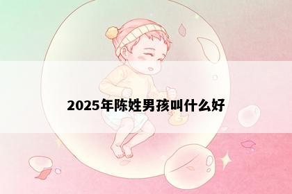 2025年陈姓男孩叫什么好