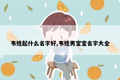 韦姓起什么名字好,韦姓男宝宝名字大全