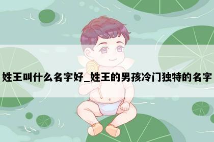 姓王叫什么名字好_姓王的男孩冷门独特的名字