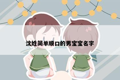 沈姓简单顺口的男宝宝名字