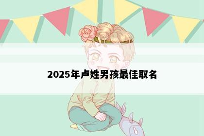 2025年卢姓男孩最佳取名