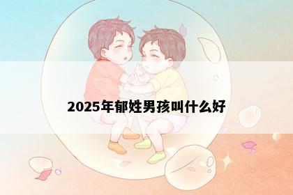 2025年郁姓男孩叫什么好