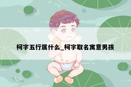 柯字五行属什么_柯字取名寓意男孩