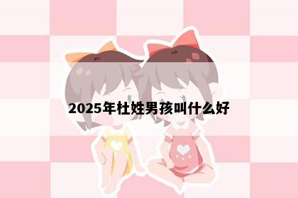 2025年杜姓男孩叫什么好