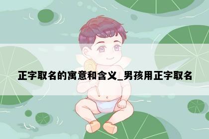 正字取名的寓意和含义_男孩用正字取名