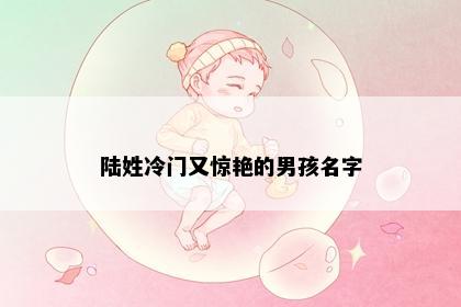 陆姓冷门又惊艳的男孩名字