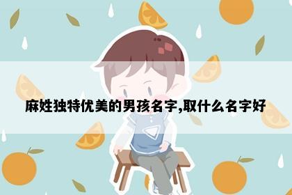 麻姓独特优美的男孩名字,取什么名字好