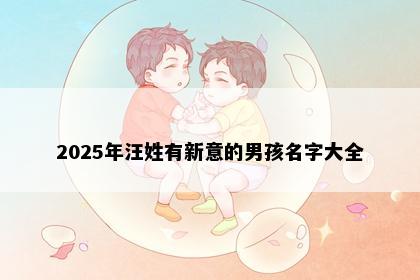 2025年汪姓有新意的男孩名字大全