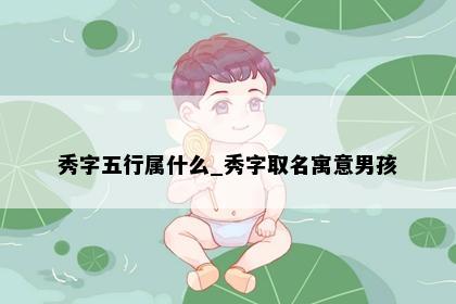 秀字五行属什么_秀字取名寓意男孩