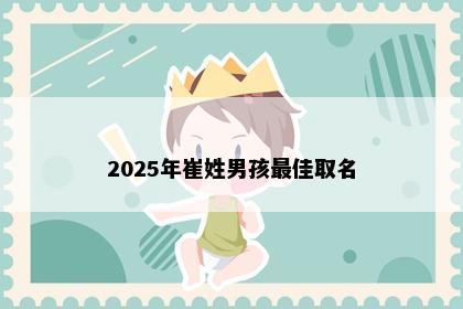 2025年崔姓男孩最佳取名