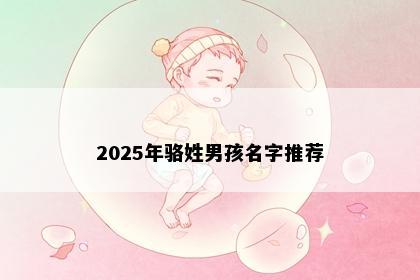 2025年骆姓男孩名字推荐