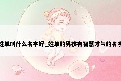 姓单叫什么名字好_姓单的男孩有智慧才气的名字