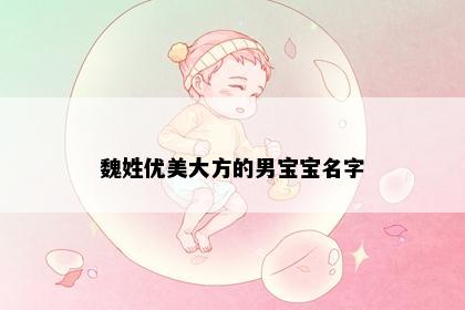 魏姓优美大方的男宝宝名字