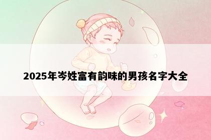 2025年岑姓富有韵味的男孩名字大全