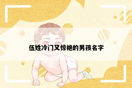 伍姓冷门又惊艳的男孩名字