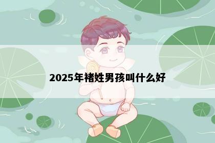 2025年褚姓男孩叫什么好