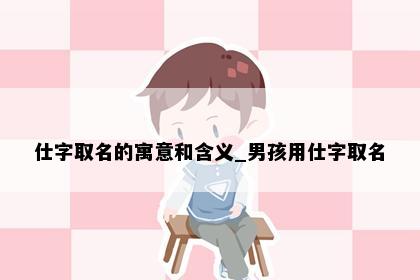 仕字取名的寓意和含义_男孩用仕字取名