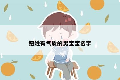 钮姓有气质的男宝宝名字