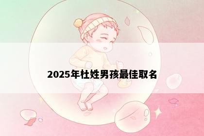 2025年杜姓男孩最佳取名