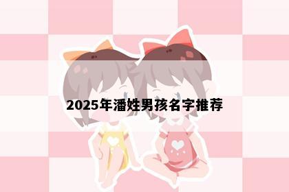 2025年潘姓男孩名字推荐