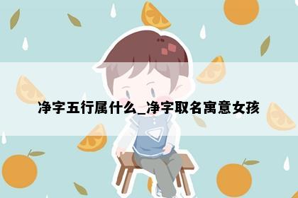 净字五行属什么_净字取名寓意女孩