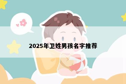 2025年卫姓男孩名字推荐