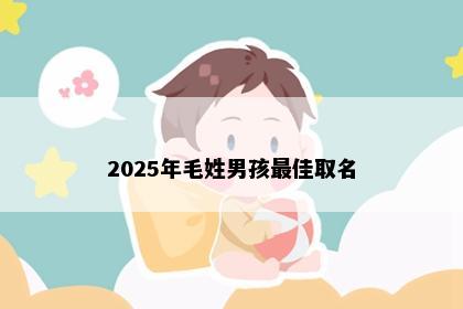 2025年毛姓男孩最佳取名