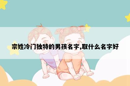 宗姓冷门独特的男孩名字,取什么名字好