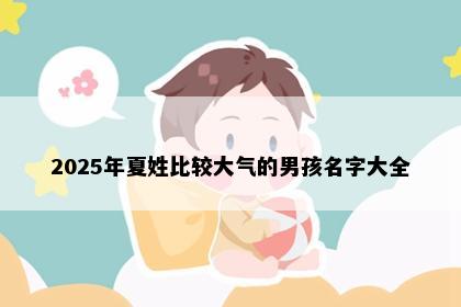 2025年夏姓比较大气的男孩名字大全