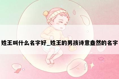 姓王叫什么名字好_姓王的男孩诗意盎然的名字