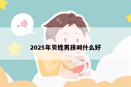 2025年贝姓男孩叫什么好